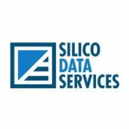 Silico Data